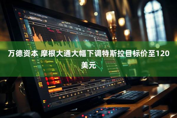 万德资本 摩根大通大幅下调特斯拉目标价至120美元