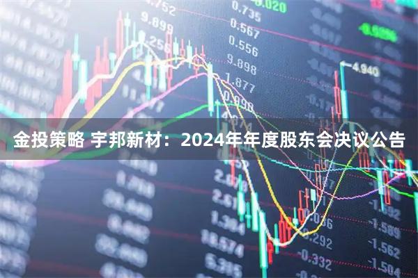 金投策略 宇邦新材：2024年年度股东会决议公告