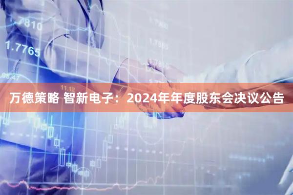 万德策略 智新电子：2024年年度股东会决议公告