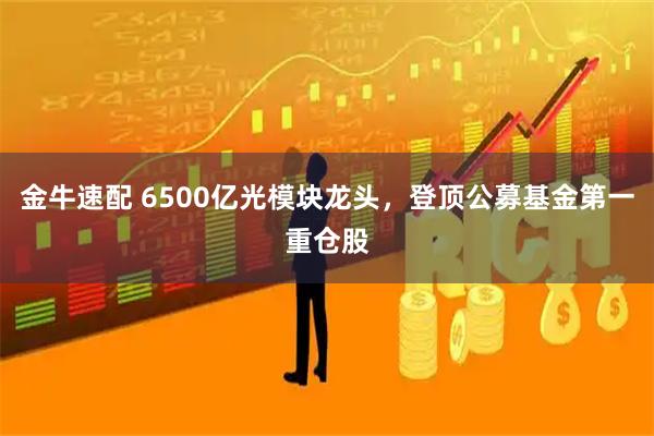 金牛速配 6500亿光模块龙头，登顶公募基金第一重仓股